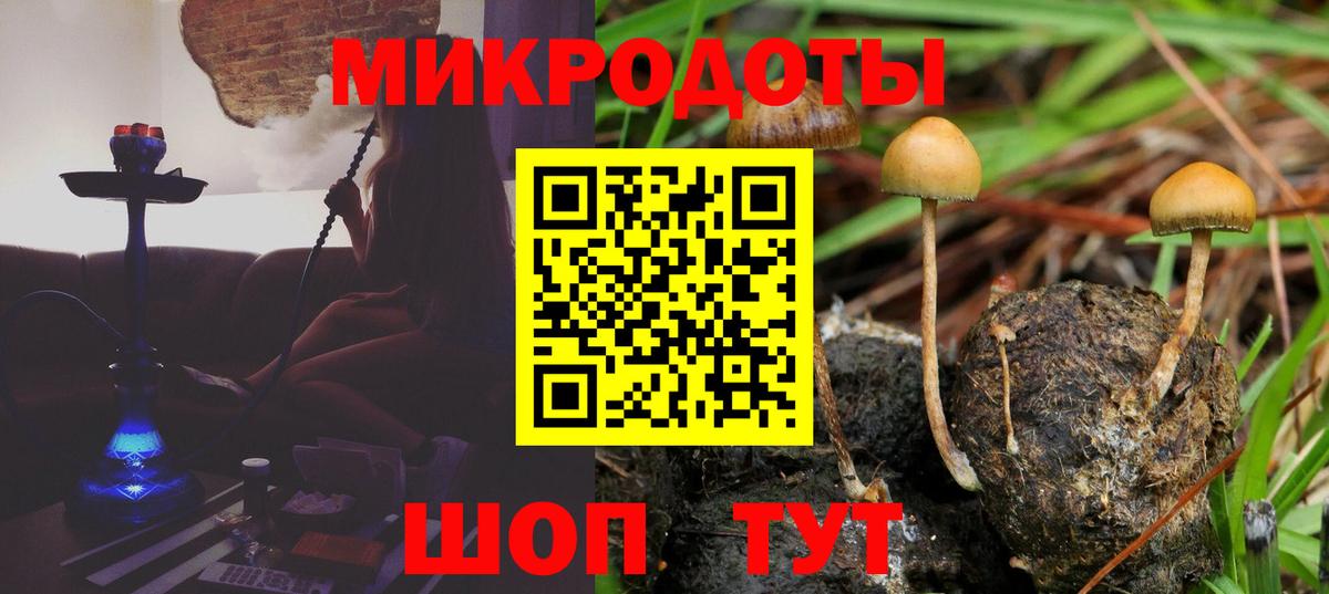 Артём  Галлюциногенные грибы мухоморы  где продают наркотики  Вход с VPN  Псилоцибиновые грибы мицелий 