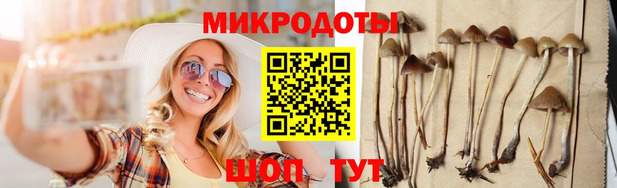 Псилоцибиновые грибы прущие грибы Артём